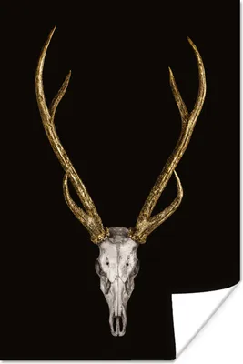 Produktbild von MuchoWow® Poster Hirsch - Totenkopf - Gold 60x90 cm - Wanddekoration