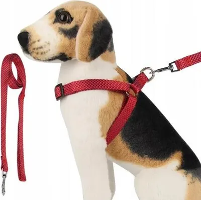 Obrázek produktu pro Sada postrojů a vodítek pro psy 2 cm