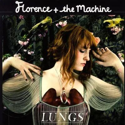 Image de Lungs