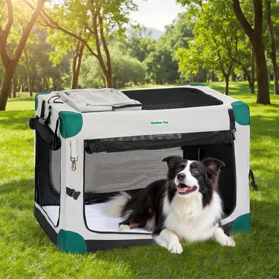 Image de Cage de transport pliable pour chiens, dimensions 91x64x64 cm, jusqu'à 32 kg, couleur grise, avec couverture et sac de rangement