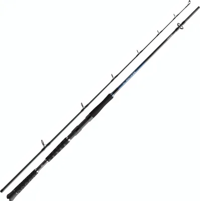 Immagine prodotto di DAIWA Sealine Pilk, 2,25m, 7,38ft, 100-250g, 2 parti, canna da pesca Pilk, veloce, 11352-226