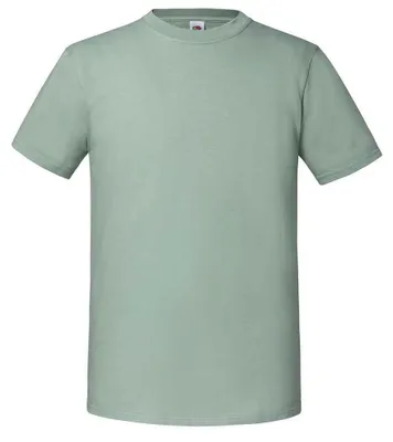 Produktbild von Fruit of the Loom - "Iconic 195 Premium" T-Shirt für Herren FK2657 (L) (Salbei)