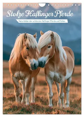 Produktbild von Stolze Haflinger Pferde (Wandkalender 2027 DIN A4 hoch), CALVENDO Monatskalender