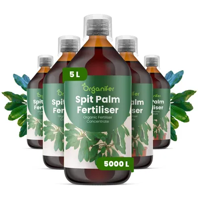 Produktbild von Spitpalmen Flüssigdünger 5x1L – 2-1-8 NPK – Flüssig-Pflanzendünger für Spitpalmen – Organifer
