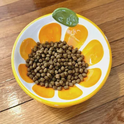 Produktbild von Erhöhter Futternapf für Katzen, geneigt, Keramik, geneigte erhöhte Katzennahrungsschüssel Erhöhte Keramische Katzenschüssel Anti Erbrechen Flache Katzenfütterungsschalen(Orangenform)
