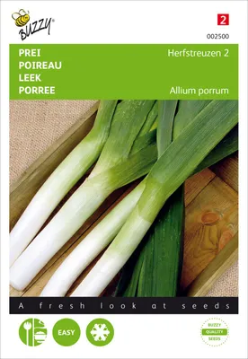 Productafbeelding van Porreien, herfstvariëteit "Reuzen", 2 stuks | Uienzaad van Buzzy Seeds