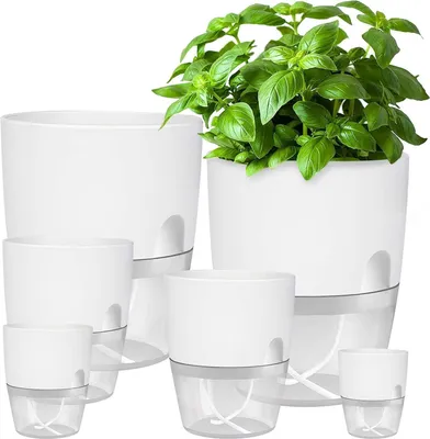 Image de iDattel Pot d'herbes aromatiques set de 6 | Système d'irrigation | Rebord de fenêtre cuisine | 23.5/15.3/10.5/8.2cm