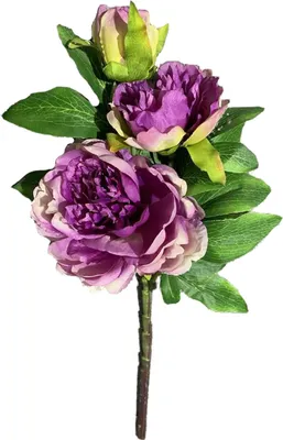 Produktbild von Pfingstrose 38 cm Kunstblume Flora
