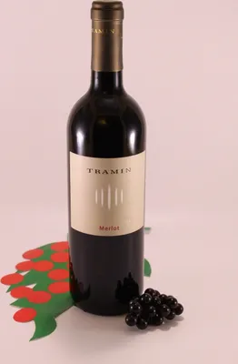 Produktbild von Südtiroler Merlot - 2024 - Kellerei Tramin