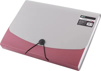 Produktbild von D.RECT 5888 Fächermappe | Dokumenten Organizer | Ordnermappe mit Fächern | Dokumentenmappe 12 Fächer A4 - Rot, 7540