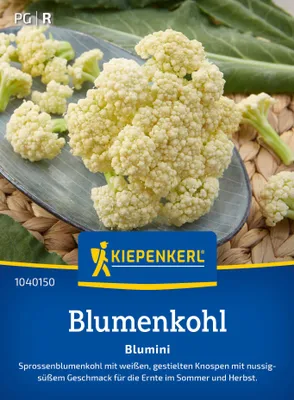Artikelbild 2 von 'Blumenkohl Blumini F1' aus der Kategorie Blumenkohlsamen