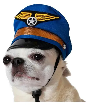 Immagine prodotto di Costume da cane cappello blu