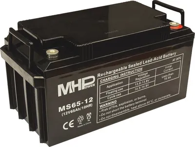 Image de Batterie MHPower MS65-12 VRLA AGM 12V/65Ah