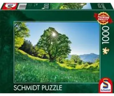 Produktbild von Schmidt Spiele 59761, 12 Jahr(e)