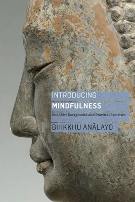 Produktbild von Introducing Mindfulness