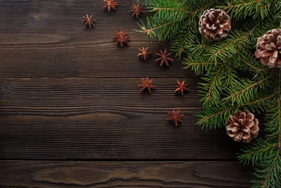 Produktbild von Heizkörperverkleidung Heizkörperverkleidung Weihnachten Winter 60x100