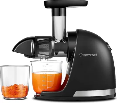 Produktbild von AMZCHEF Entsafter , Slow Juicer Gemüse und Obst mit Umkehrfunktion, Saftpresse Elektrisch, BPA Frei, Schwarz
