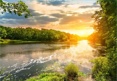 Produktbild von Wallario Fototapete Vliestapete, seidenmatte Oberfläche, einfache Verarbeitung, Größe 350 x 245 cm, Motiv Sonnenuntergang am Fluss in grüner Umgebung
