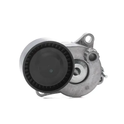Produktbild von RIDEX 310T0393 Spannrolle Keilrippenriemen passend für MERCEDES-BENZ C-Klasse Limousine (W204) C-Klasse T-modell (S204) E-Klasse Limousine (W212) GLK