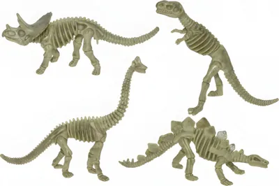 Produktbild von Urzeit Dinosaurier Skelett Figur als Geschenkidee