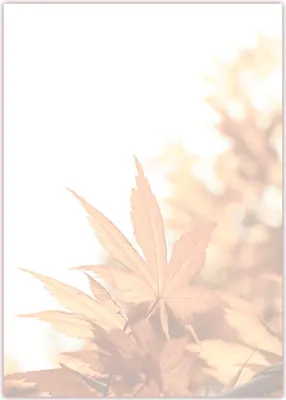 Produktbild von Motiv Briefpapier (Herbst-5034, DIN A4, 25 Blatt). Einseitig bedrucktes Briefpapier, beschreibbar, Motivpapier für alle Drucker/Kopierer geeignet Motiv Herbst Laub Blätter