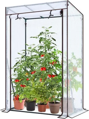 Obrázok produktu pre Malý skleník s PE krytom pre optimálny rast rastlín 100 x 50 x 152 cm