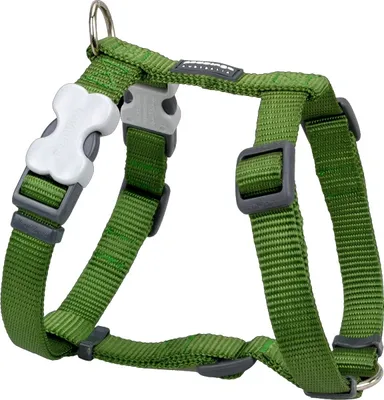 Obrázok produktu pre Postroj classic Red dingo dark green, Veľkosť: S
