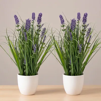 Immagine prodotto di Set di 2 piante di lavanda artificiali in vaso di plastica bianca