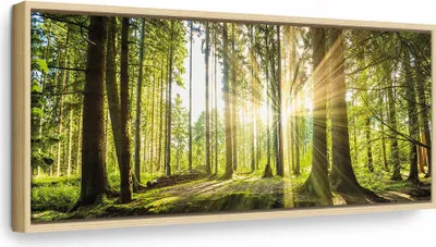 Produktbild von Italienischer Leinwand Leinwandbild - Daylight 120x40 cm Landschaften c-B-0077-b-b