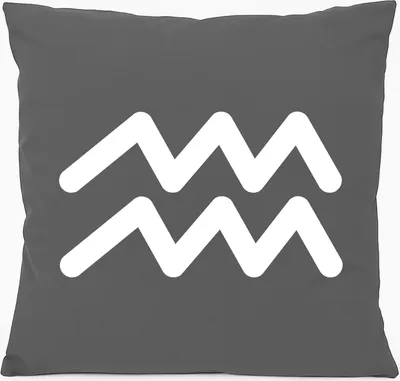 Produktbild von Huuraa Kissen Wassermann Sternzeichen Zeichen 40x40cm mit Füllung Steel Grey Baumwolle Dekokissen Geschenkidee