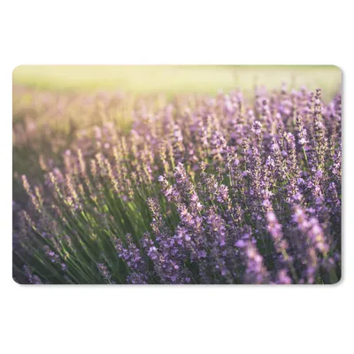 Produktbild von MuchoWow® Schreibtischunterlage Lavendel auf einem Feld 60x40 cm - XXL Mauspad - Großes Mauspad