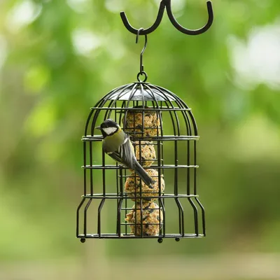 Produktbild von CJ Wildlife Meisenknödelhalter - Meisenknödelhalterung 'Milan' mit Schutzkäfig - Metall, Schwarz - Schutz gegen Eichhörnchen und größere Vögel