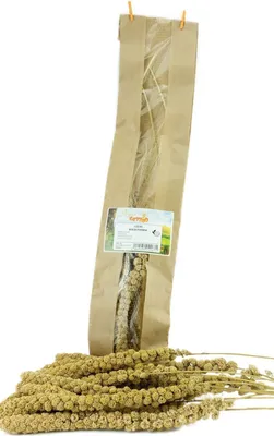 Produktbild von Getzoo Gelbe Kolbenhirse 5Stk