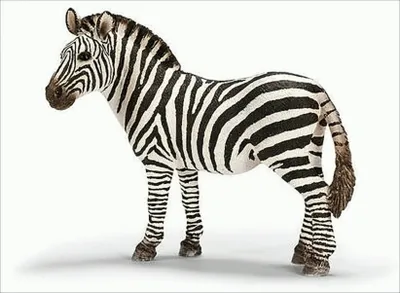 Immagine prodotto di Cavallo zebra Schleich
