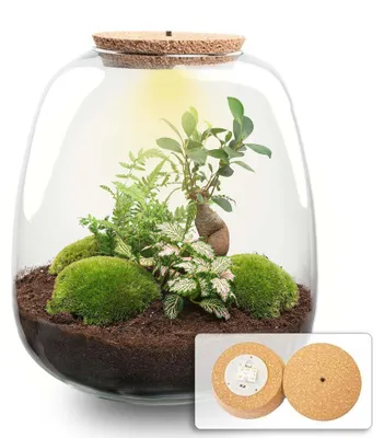 Produktbild von -  25 cm - Ø23cm