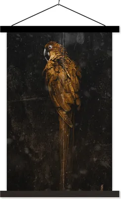 Produktbild von MuchoWow® Textilposter Papagei - Vogel - Foto 60x90 cm mit schwarzem Rahmen - Poster Wohnzimmer