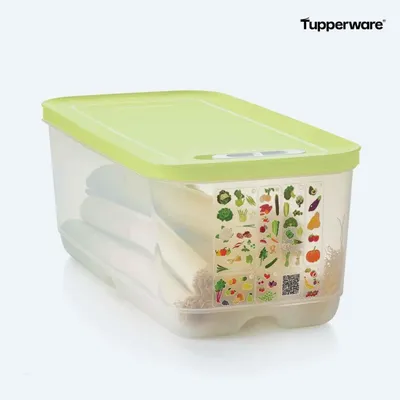 Produktbild von TUPPERWARE KlimaOase 6,1 Liter