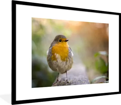 Produktbild von MuchoWow® Gerahmtes Poster Vögel - Rotkehlchen - Baum 80x60 cm - Poster mit Schwarzem Bilderrahmen Wandposter Rahmen Foto Bilder - Schlafzimmer-Dekorationen - Fotoposter