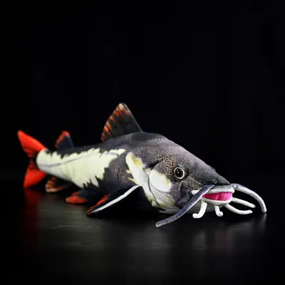 Produktbild von Wels Kuscheltier 54 cm – Realistisches Plüschtier Fisch Stofftier