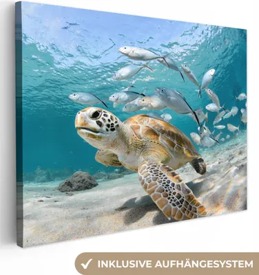 Produktbild von MuchoWow® - Leinwandbilder - Schildkröte - Fisch - Meer, Wandbild, Wanddeko Bilder Wohnzimmer, 120x90 cm