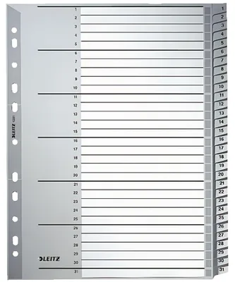 Produktbild von Leitz Register 12810000 1-31 DIN A4 31teilig PP grau