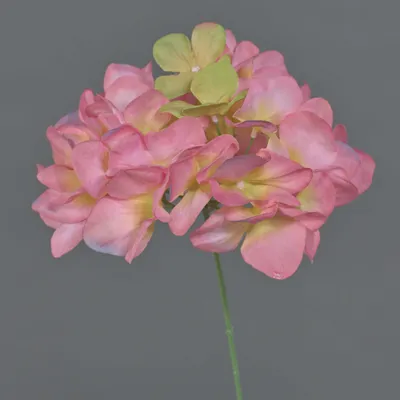 Produktbild von artplants.de Dekoblume Hortensie FUHUA, rosa-Creme, 25 cm - Künstlicher Blumenzweig