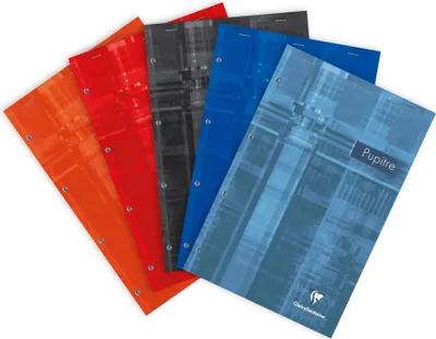 Produktbild von Clairefontaine 5x Block Pupitre DIN A4+ 80 Blatt 90g kariert Sortiert 66132C