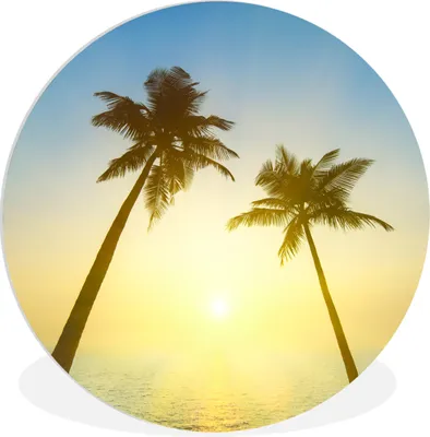 Produktbild von MuchoWow® Rundes Wandbild - Runde Bilder Strand - Sonnenuntergang - Palmen Ø 30 cm Kreis Wanddekoration Kunststoff - Wandkreis - Wandschmuck - Schlafzimmer - Bilder - Der Kreis - Kunst für die Wohnung - Plastik - Kunstdruck - Wandbild