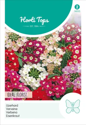 Produktbild von Eisenkraut Ideal Florist Mischung | Blumensamen von Hortitops