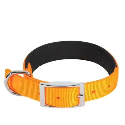Obrázek produktu pro ZOLUX nylonový obojek oranžový 60CM 2,5CM, Z466730ORA