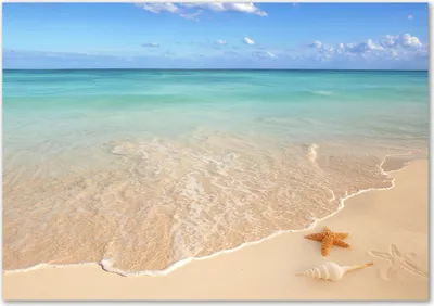 Produktbild von Tulup® Leinwandbild - 100x70 cm - Wandkunst - Drucke auf Leinwand - Leinwanddruck  - Landschaften - Blau - Seestern am Strand