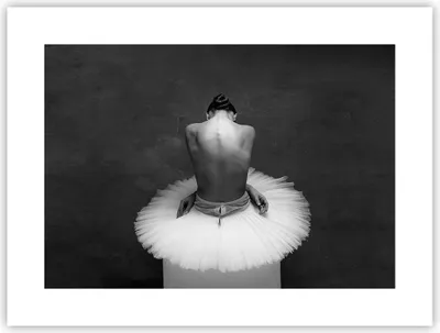 Produktbild von Poster - Poster ohne Rahmen - Ballerina Rücken Stück - 40x30 cm - Wand Bild - Wanddeko - Wandbilder - Kunstposter - Wandposter - Bilder - Kunstdruck - Wanddekoration - Wandbild - P2XAA40x30-4729