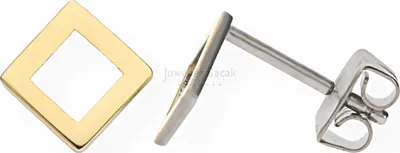 Produktbild von Boccia Ohrstecker 05022-02 Titan Bicolor vergoldet