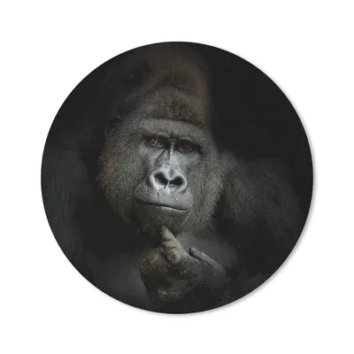 Produktbild von MuchoWow® Mauspad Mousepad Gorilla - Affe - Tiere - Schwarz und weiß 20x20 cm - Mousepads - Maus Mat - Pad - Mausunterlage - Schreibtischmatte